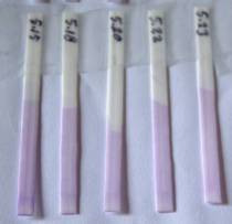 Heparinized Nylon 12
